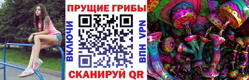 Псилоцибиновые грибы GOLDEN TEACHER  OMG рабочий сайт  Видное  где можно купить наркотик 